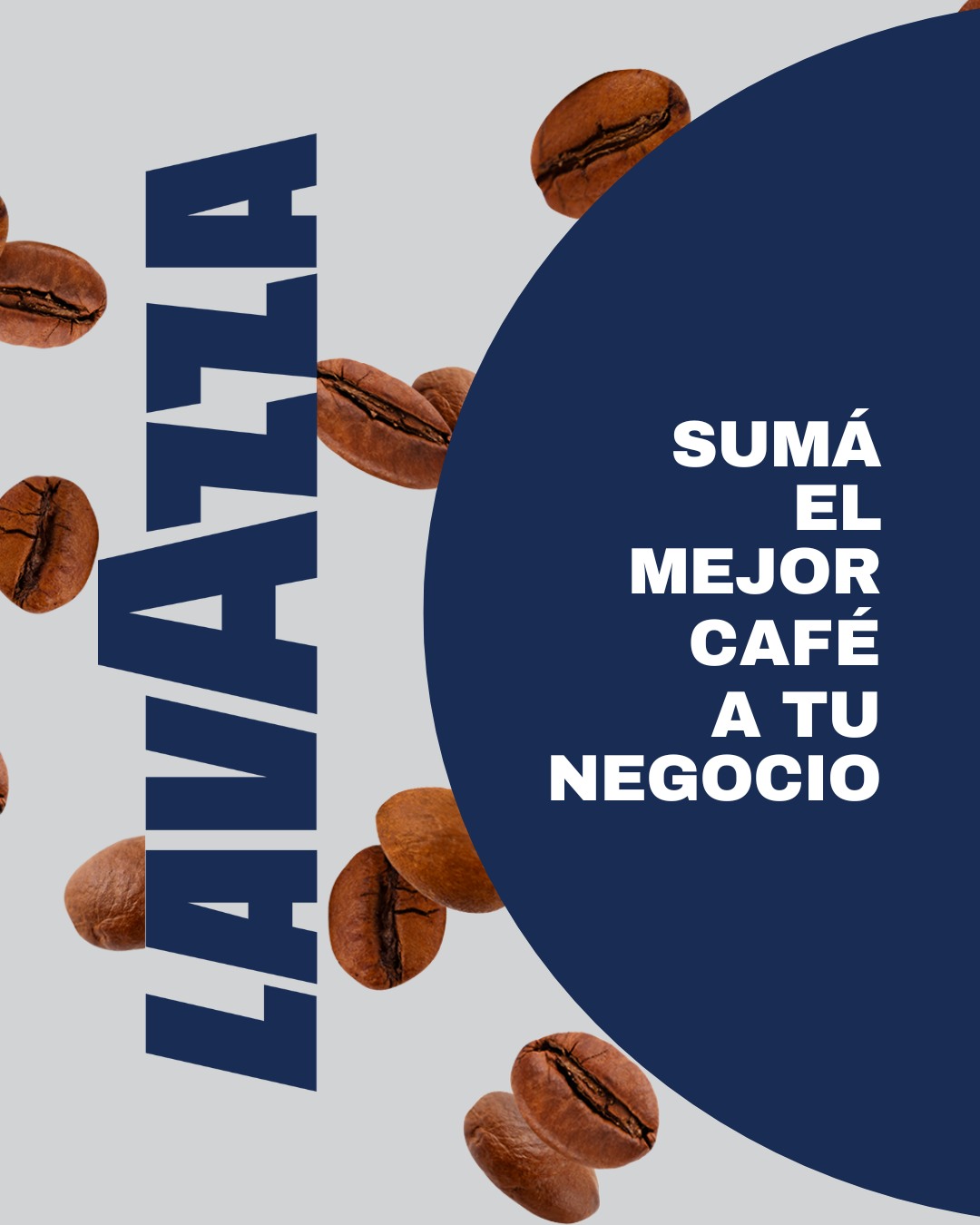 CONSULTA LAVAZZA